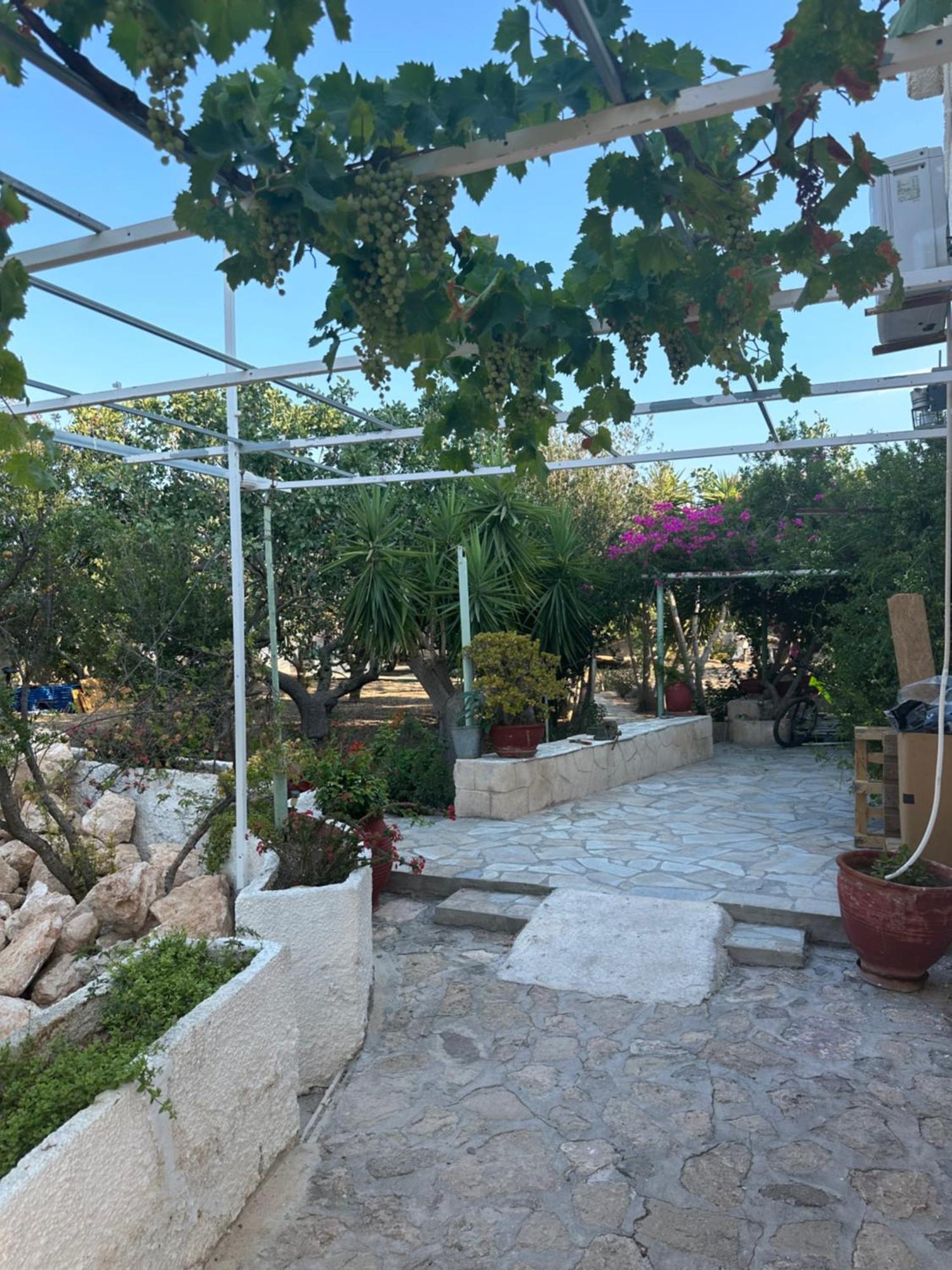 Apartmán Solmar Aegina With Private Pool - Jacuzzi Khloi Exteriér fotografie