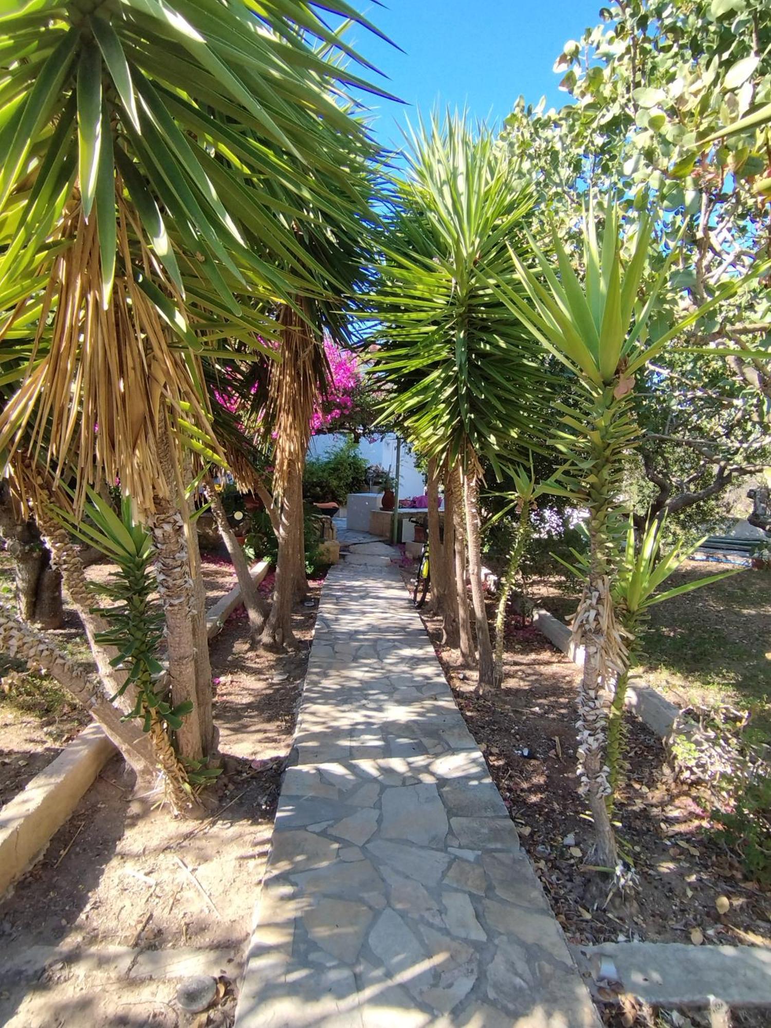 Apartmán Solmar Aegina With Private Pool - Jacuzzi Khloi Exteriér fotografie